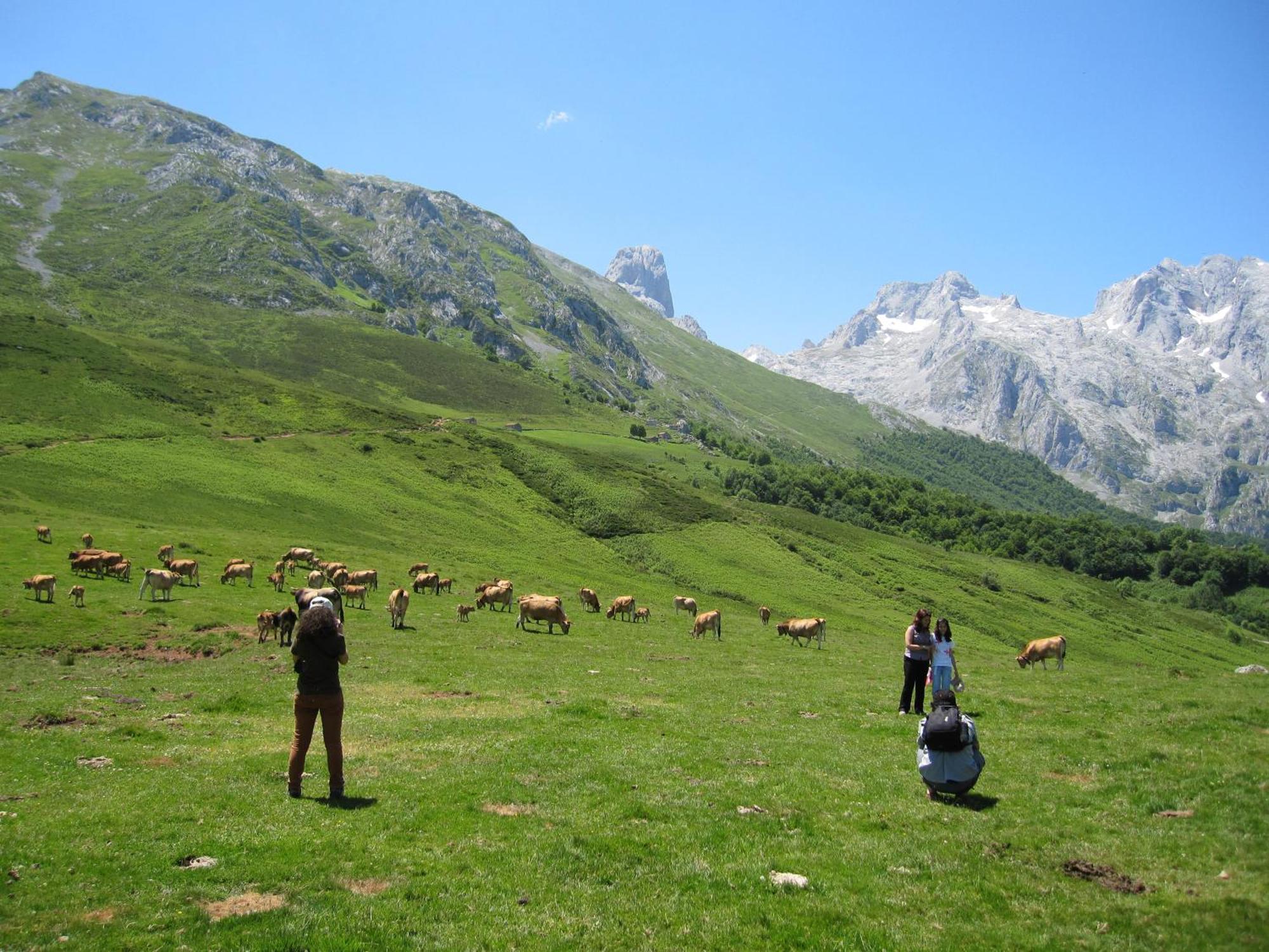 Hosteria Picos De Europa Potes Ngoại thất bức ảnh